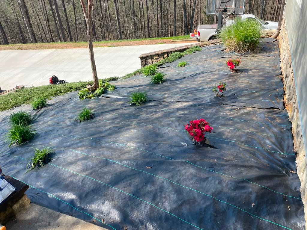 Mulch installation project photograph 3
